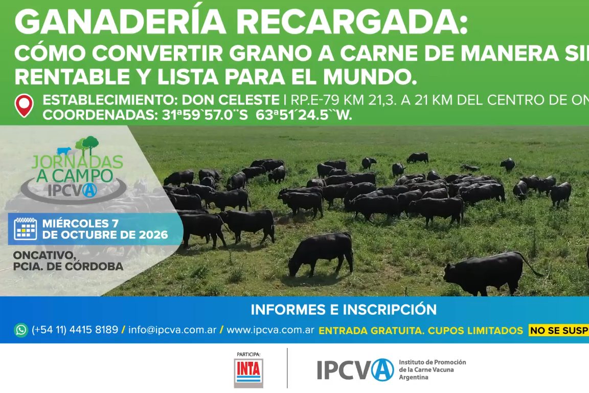jornada a campo
